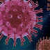 New Strain Of Coronavirus (COVID -19)- Signs and Symptoms