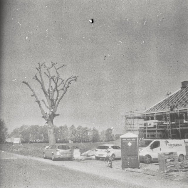 Gekandelaberde boom en mobiel toilet, foto Robert van der Kroft