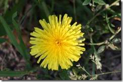 bilder 024