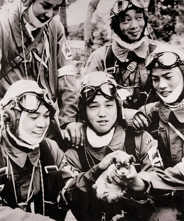 pilotos kamikaze con un perrito