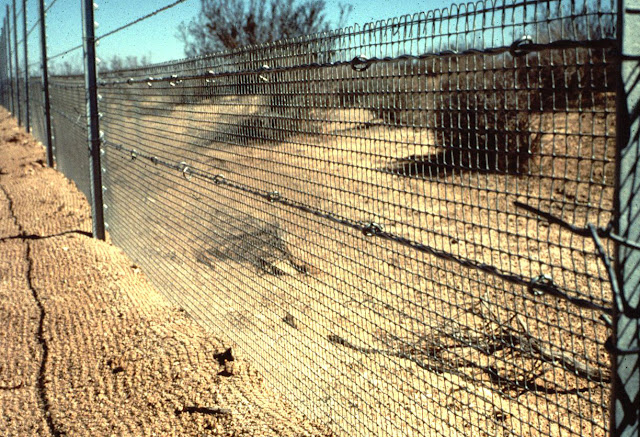 Barrier Fence5