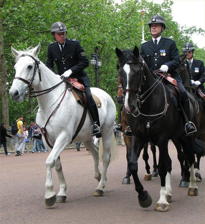 British Mounted Police Police Police Uniforms Police Force