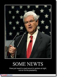 newt-gingrich-poster1