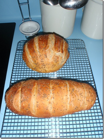Rye Bread 04042010_10