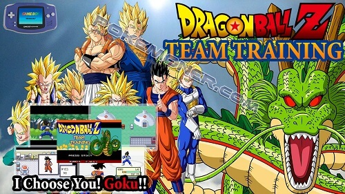 Dragon Ball Z Team Training