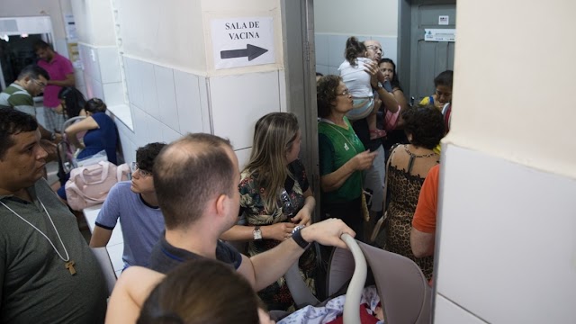 'Virose da mosca’: registros chegam 20,8 mil no Ceará