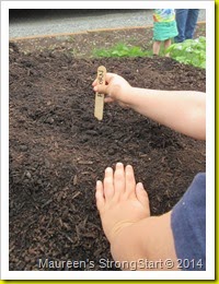 IMG_3544 IMG_3544