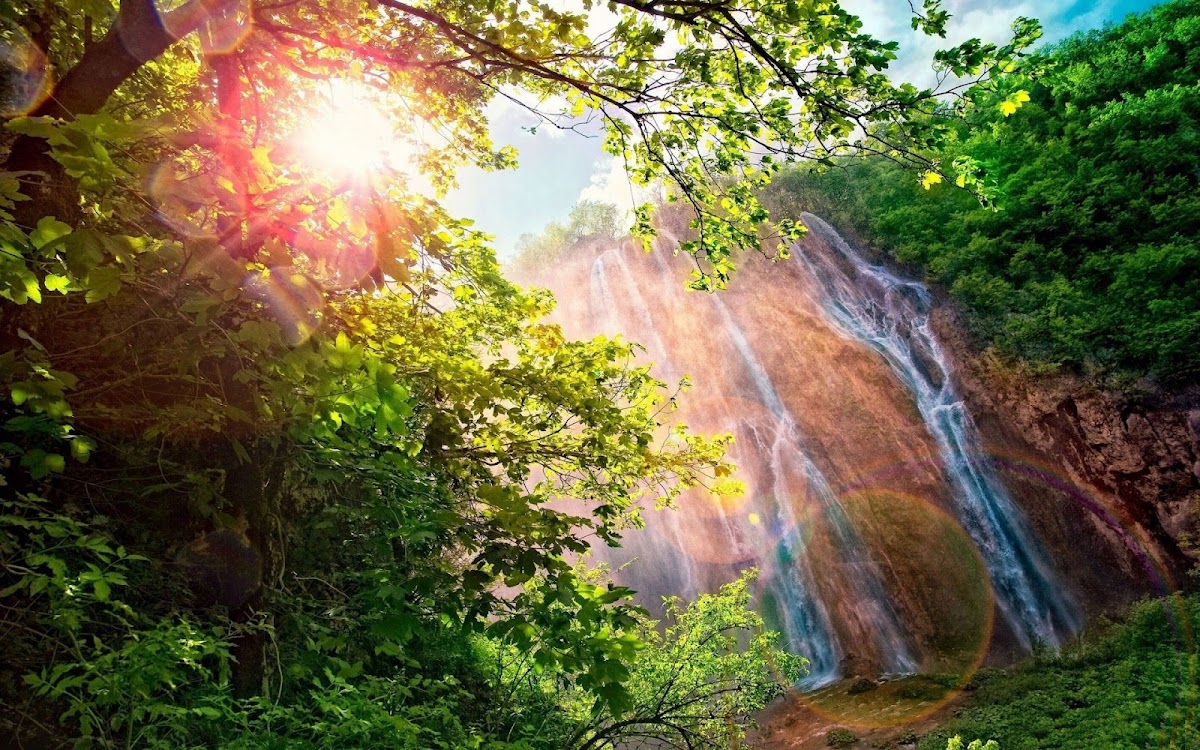 Forest Waterfall Widescreen Wallpaper