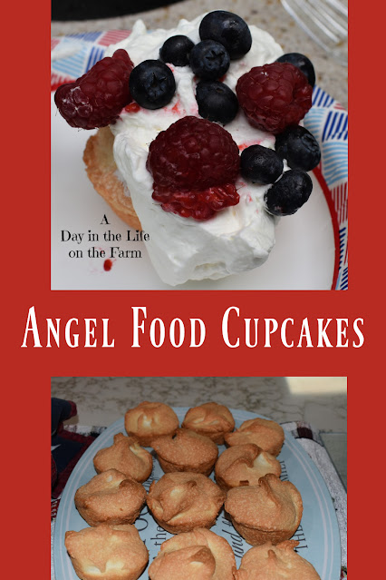 Angel Food Cupcakes