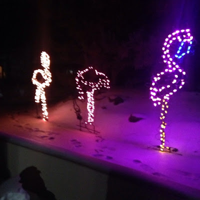 flaimngo shaped lights for Stone Zoo's Zoo Lights