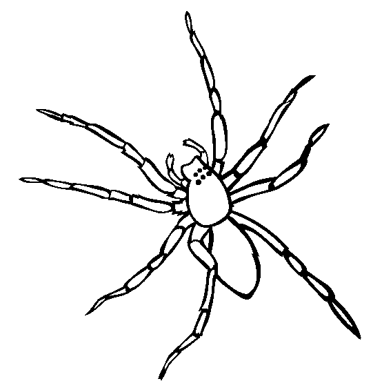 Coloring Pic Of Spiders 3