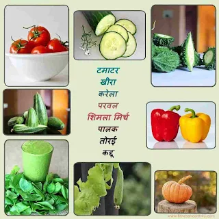 गर्मी में खाने वाली सब्जियां | Best summer vegetables in hindi