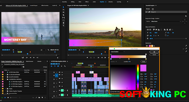 Download Adobe Premiere Pro CC 2019