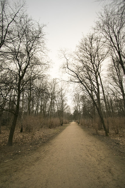 Parco verso l'Holocaust Mahnmal-Berlino