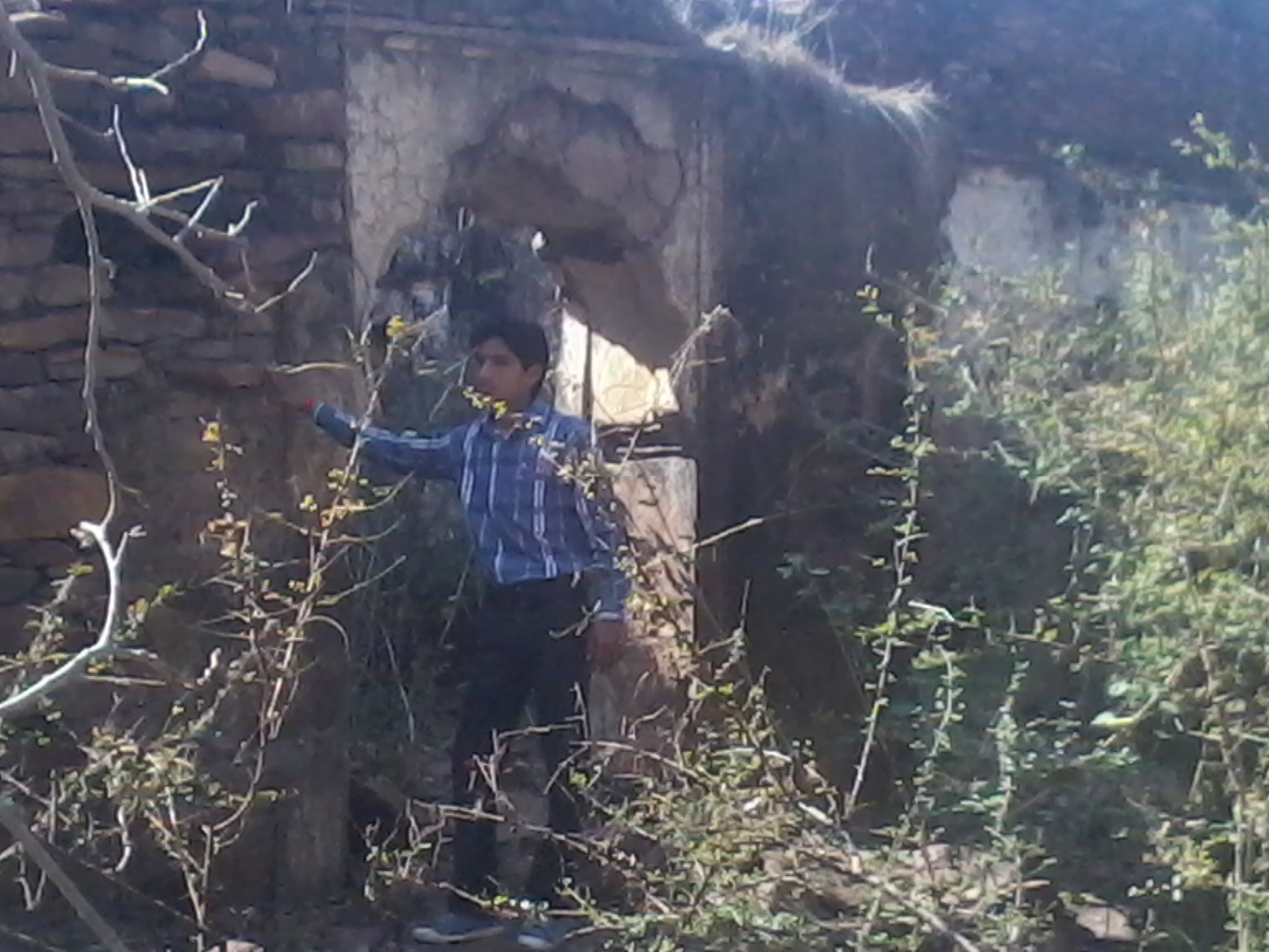 चित्र