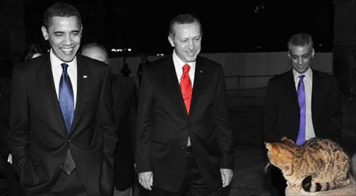 Gli, Obama, Erdoğan ve Ayasofya Camii