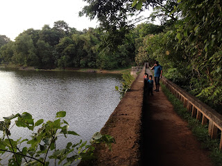 kerala sightseeing parenting asurankund dam