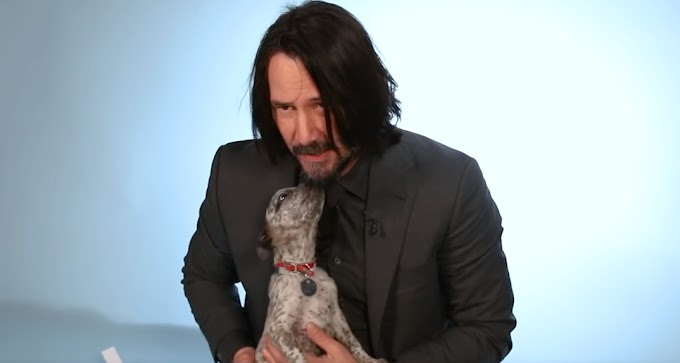 Unveiling the Unseen: Keanu Reeves' Unspoken Pet Peeves