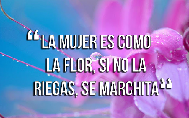 frases de mujeres