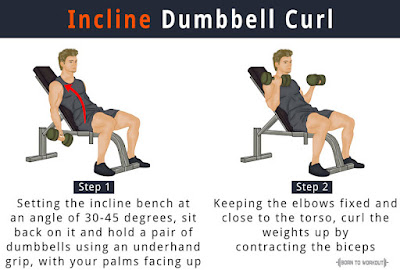 4- Dumbbell Incline Curl
