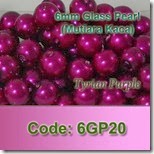 6GP20 copy