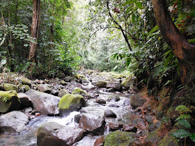 Rivière menant à la cascade de la Parabole