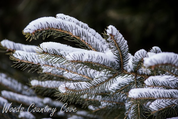 JANUARY 2015 (8 of 39)