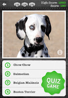 Dog Finder Quiz3