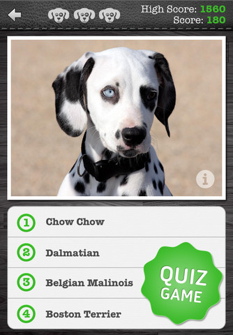 Dog Finder Quiz3