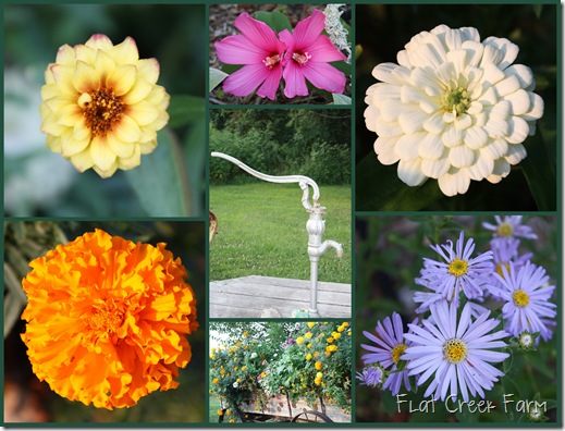 flower_pump_collage