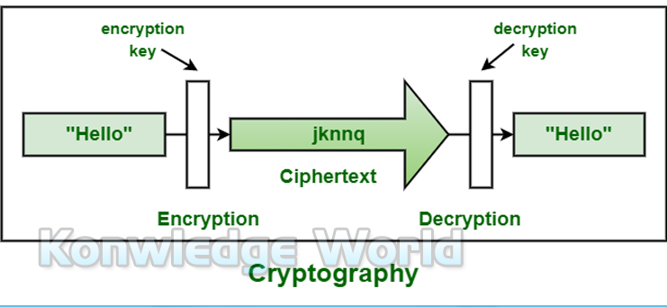 How to Become a Hacker: 12 Steps hacking skills for beginners - Knowledge World