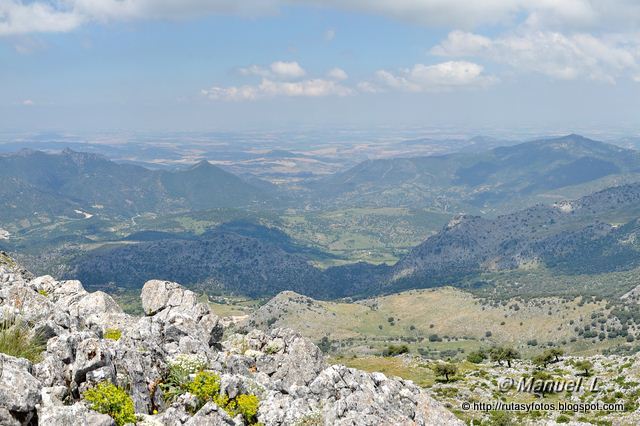 Benaocaz - Navazo Alto - Casa del Dornajo - El Encinarejo