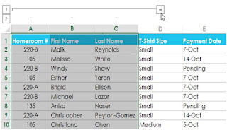 Groups and Sub-totals in MS Excel 2013