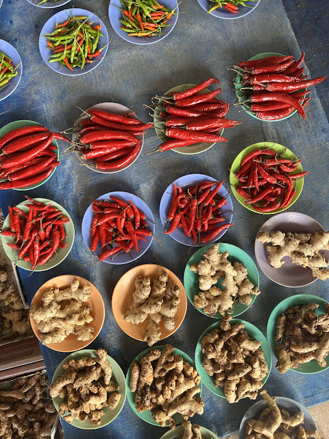 Macam macam cabai dan bumbu dapur