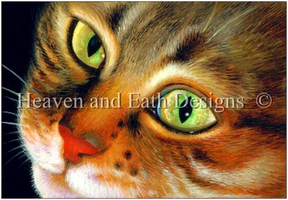 	HAED artwork by Bernadette Lusk	"	BL-5417 Tabby The Beggar	