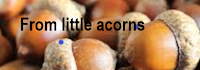 From little Acorns