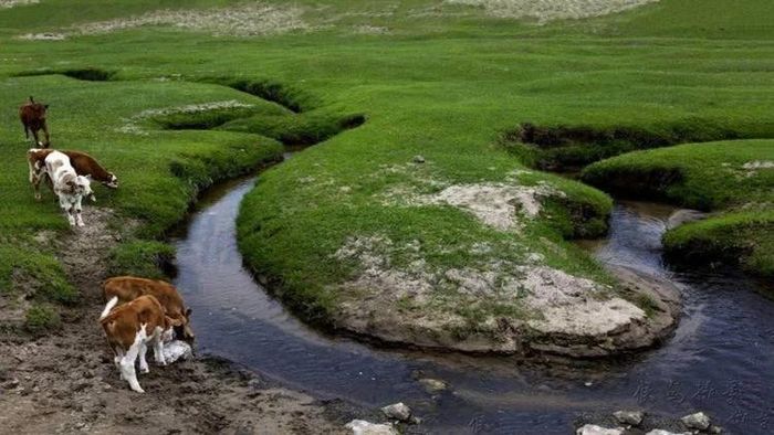 Con sông hẹp nhất thế giới chỉ rộng vài centimet, tồn tại suốt 100 thế kỷ