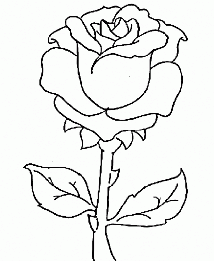 Rosas Para Dibujar Chidas Imagui