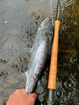 Salmon Fishing River Tay