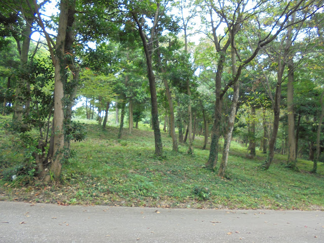 弥生の森の遊歩道