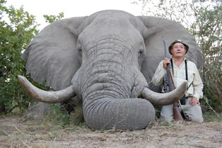 African Elephant Hunting