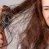 Hair Fall Treatment | 6 Home Remedies for Hair Fall | Hair Fall Solution