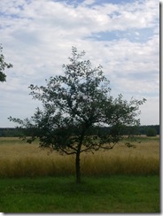 07092011154