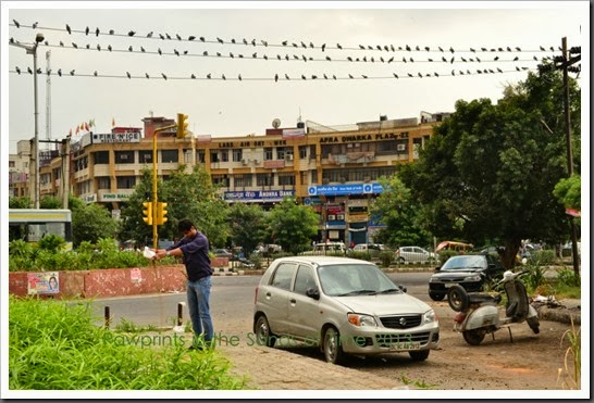 Delhi City Tour (4)