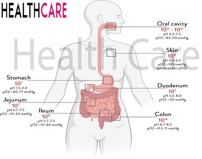  What s The Best Way To Test Gut Health?