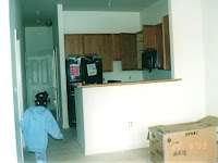 Townhouse Kitchen   -  My First Design Project