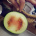 WATERMELON TASTE TEST