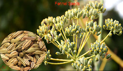 fennel seeds