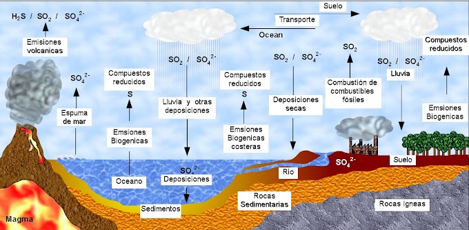 Importancia del Ciclo del Azufre