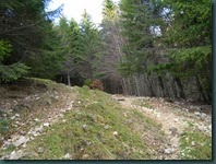 DSCN8391